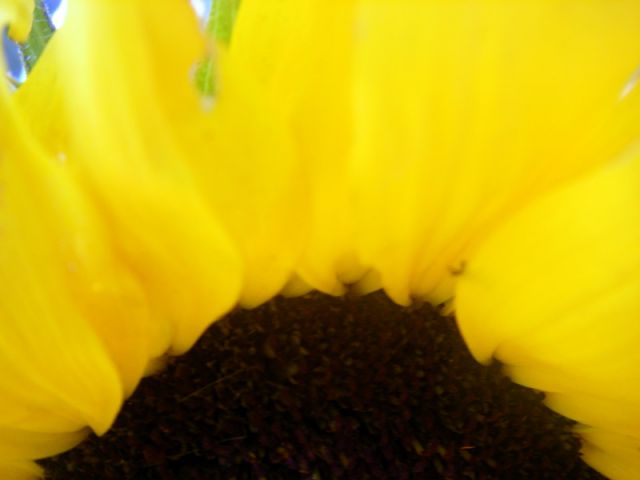 2010 05 24 jeanmarcperfetti.com 074.JPG